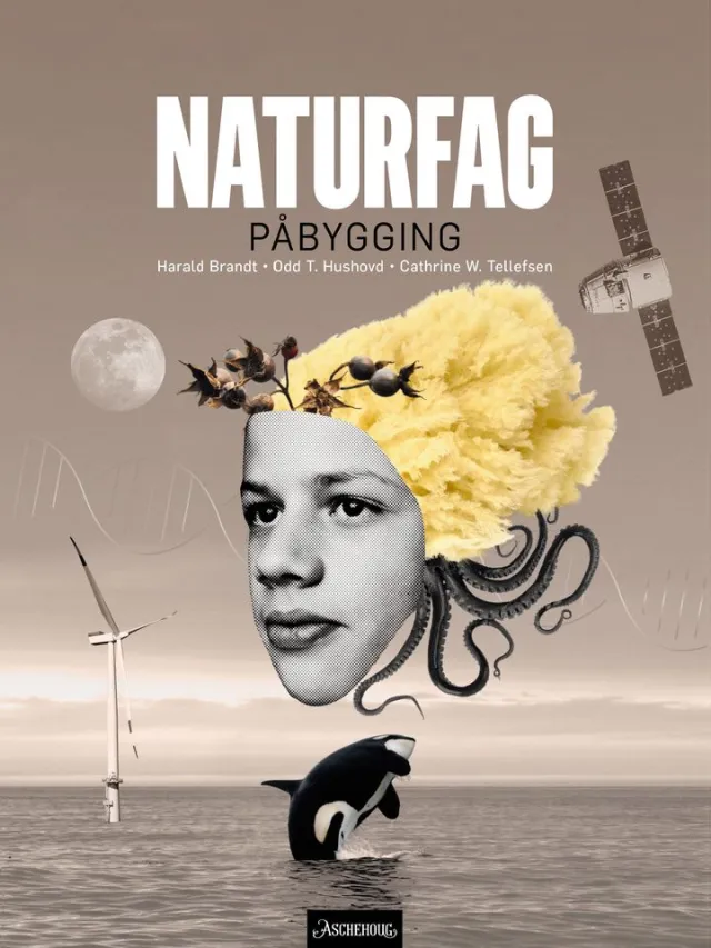 Naturfag påbygging VG3 - 9788203409509